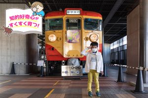 運転シミュレータだけじゃない！鉄道博物館（埼玉県）で鉄道の過去・現在・未来を学ぶ
