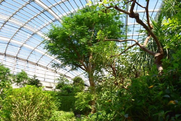 多摩動物公園昆虫館（東京都）