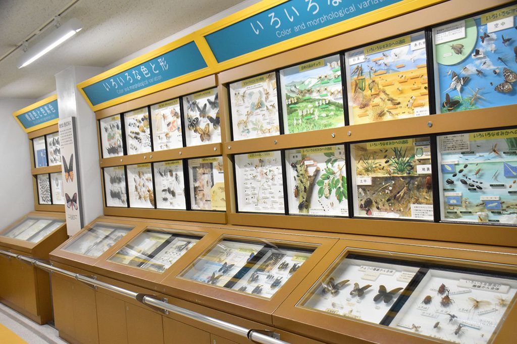 画像：多摩動物公園 昆虫館（東京都）