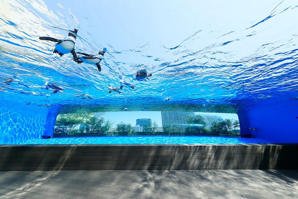 サンシャイン水族館（津京都）