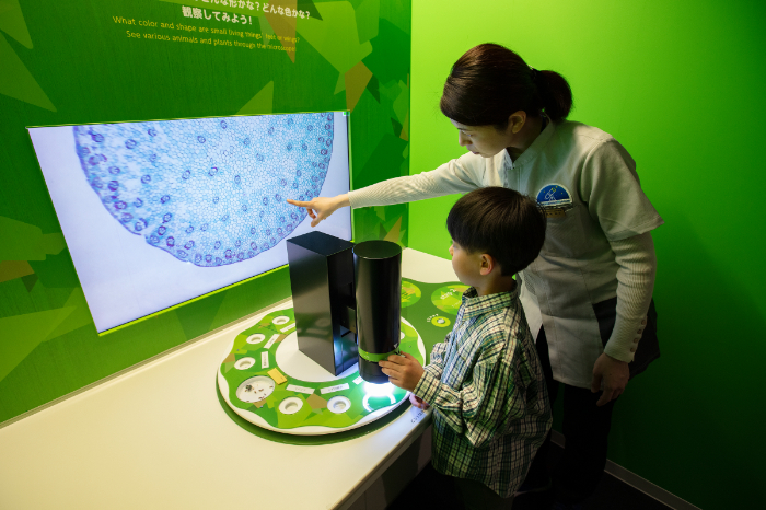 「いきもの拡大スコープ」/港区立みなと科学館(東京都)