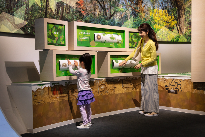 「いきものの成長」コーナー/港区立みなと科学館(東京都)