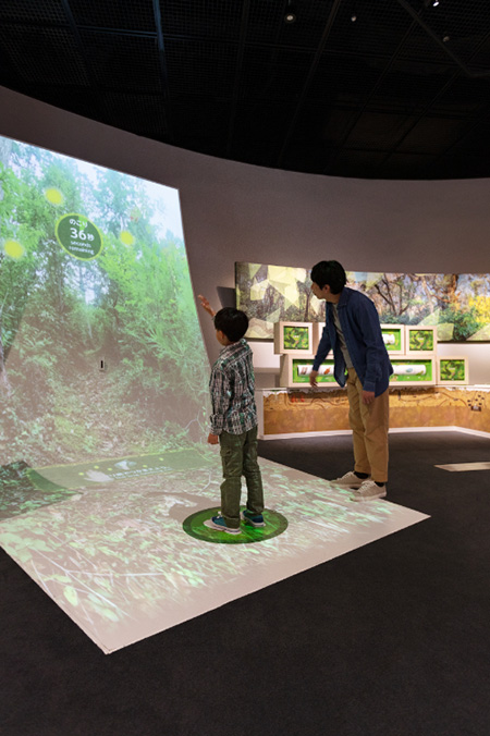 体験スタイルの展示「いきものパレット」/港区立みなと科学館(東京都)