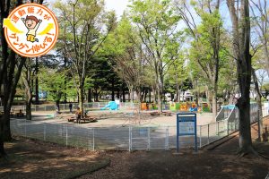 城北中央公園(練馬区、板橋区)は、多彩な遊具に幼児から小学校高学年まで大満足!