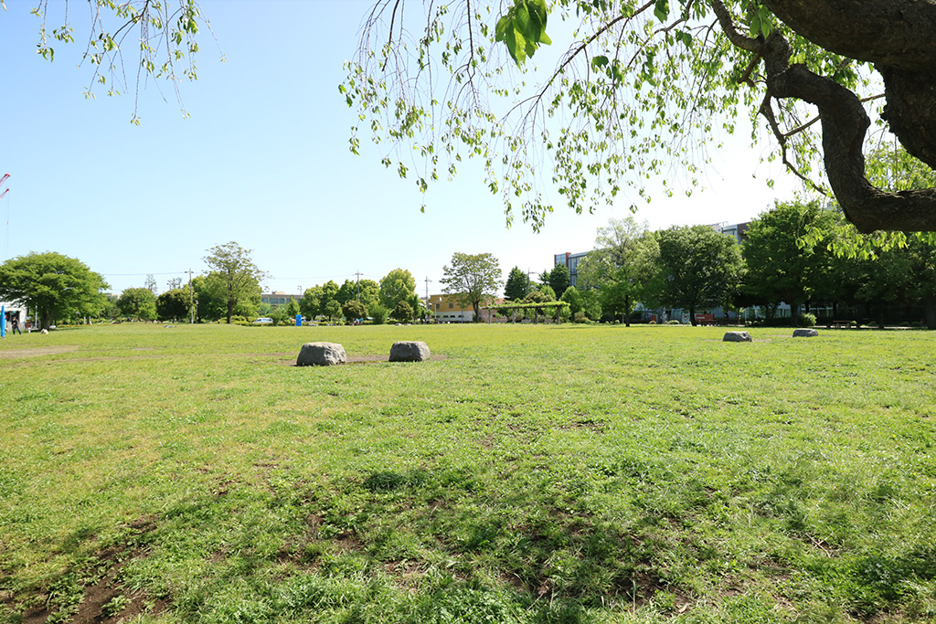 広場/城北中央公園（東京都/練馬区）