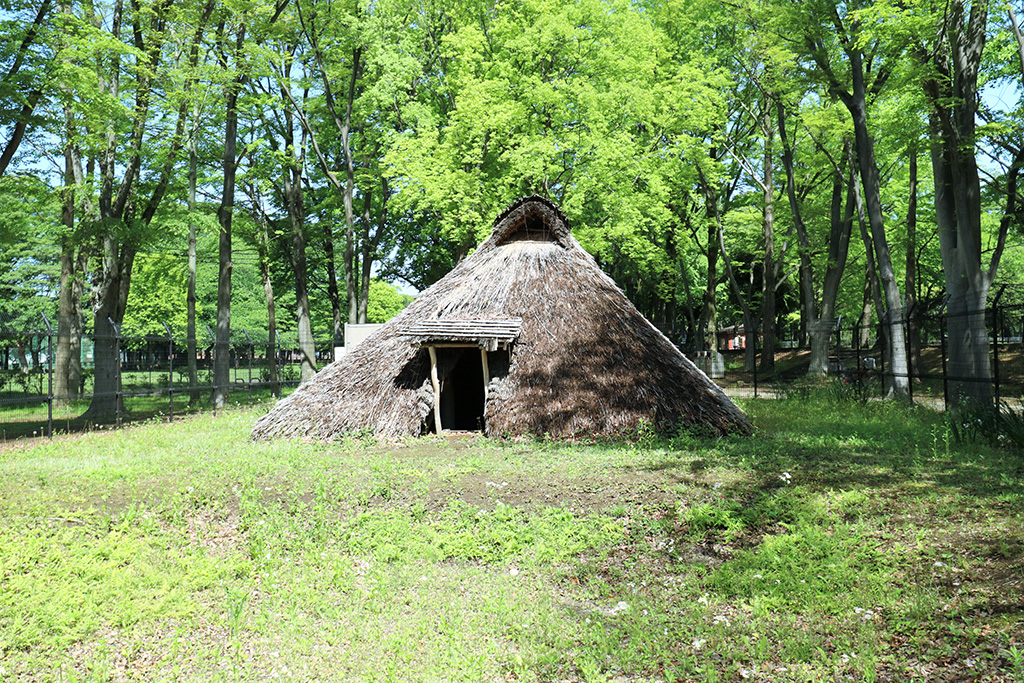 遺跡/城北中央公園（東京都/練馬区）