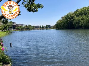 石神井公園（練馬区）は、池のほとりや森のなかで遊べる豊かな自然が魅力！