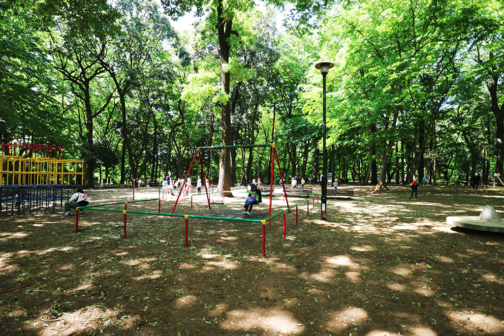 「くぬぎ広場」／石神井公園（東京都／練馬区）