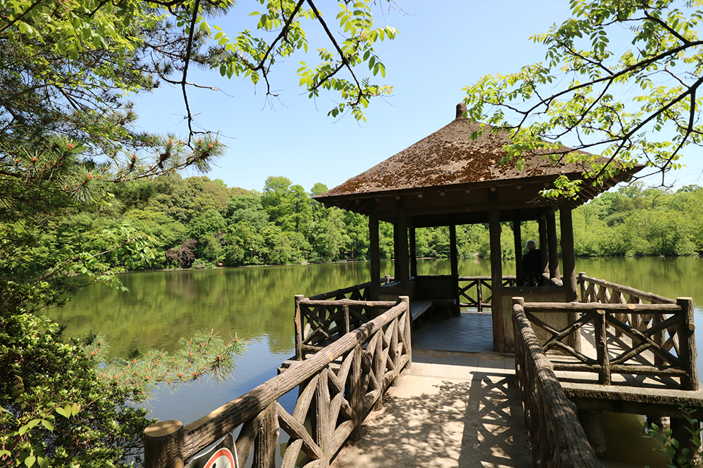 「三宝寺池」／石神井公園（東京都／練馬区）