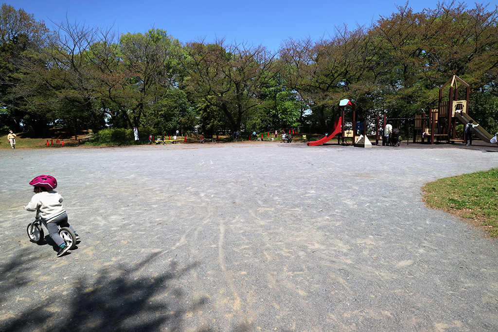 広場/赤塚公園(東京都/板橋区)