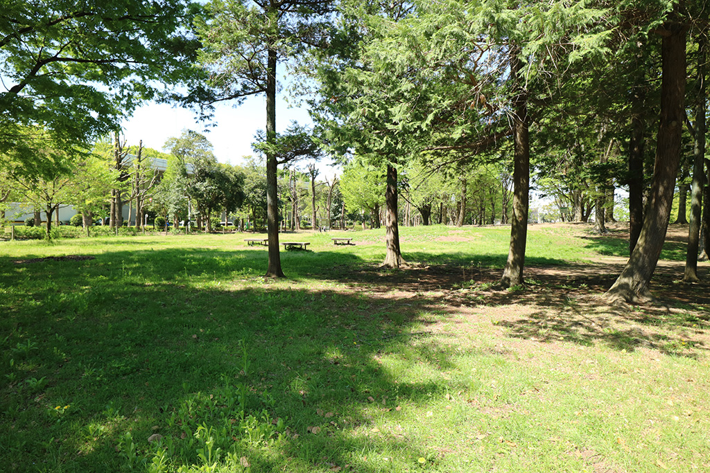 バーベキュー広場/赤塚公園(東京都/板橋区)
