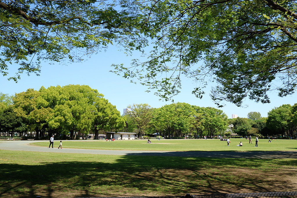 競技場/赤塚公園(東京都/板橋区)
