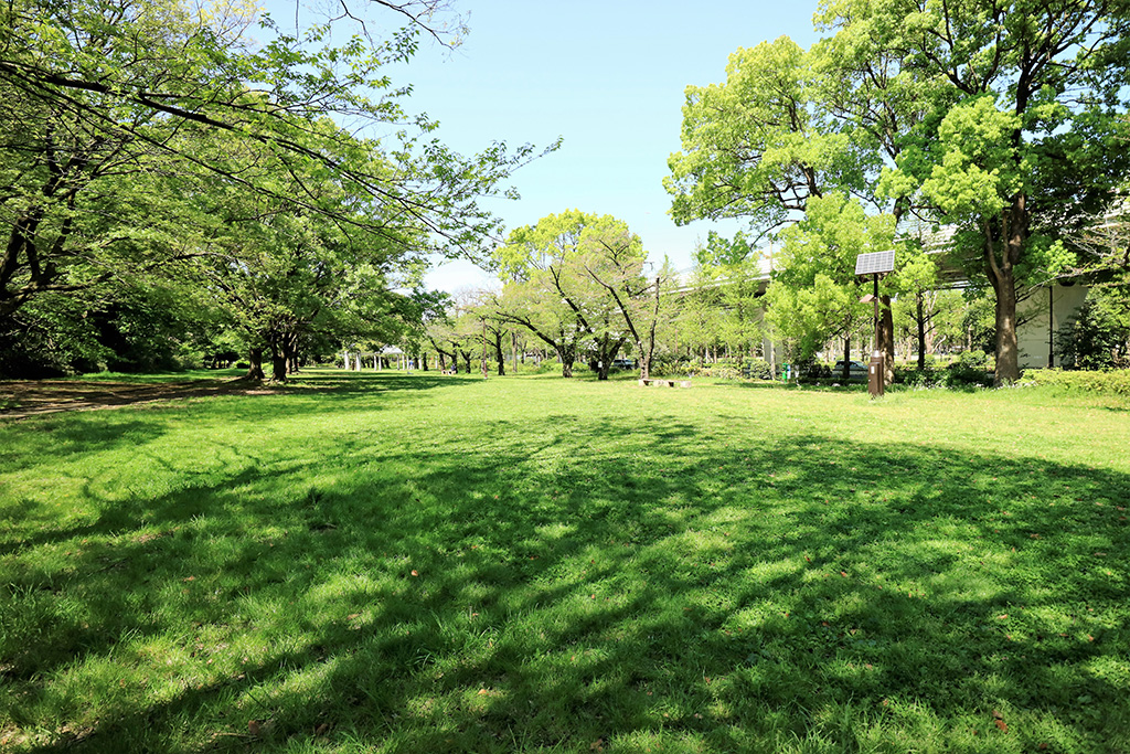 芝生エリア/赤塚公園(東京都/板橋区)