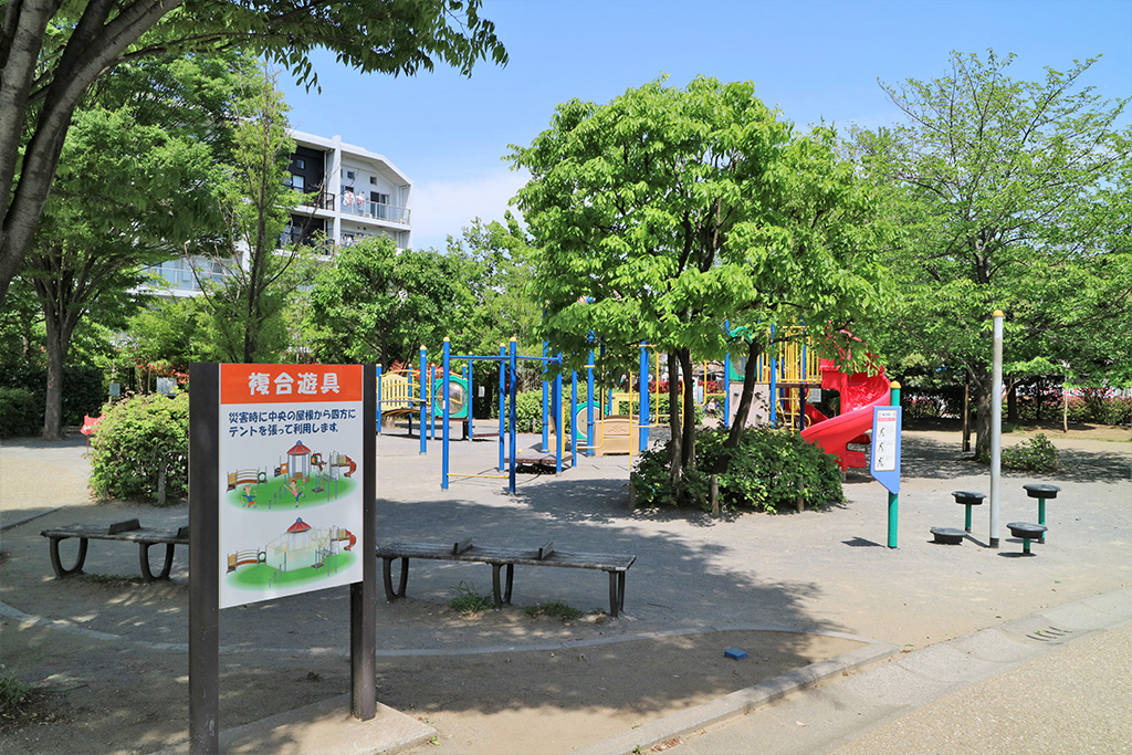 雑木林と土の広場/西ヶ原みんなの公園（東京都/北区）