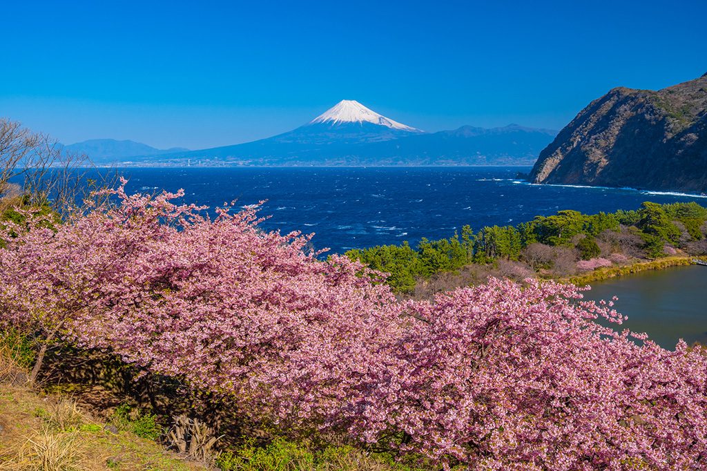 ［伊豆］子連れ家族旅行のおすすめホテル3月の人気ランキングTOP10