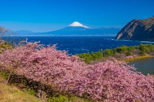 ［伊豆］子連れ家族旅行のおすすめホテル3月の人気ランキングTOP10