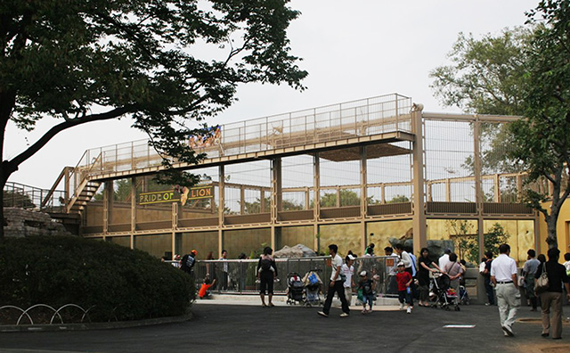 立体的なライオン舎/東武動物公園(埼玉県/宮代町)