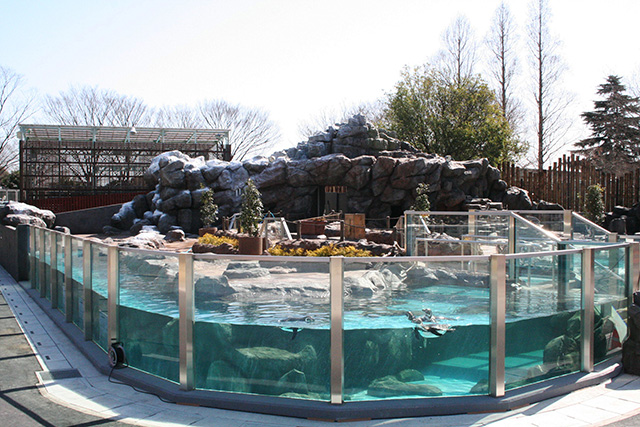 ペンギンの大地/東武動物公園(埼玉県/宮代町)