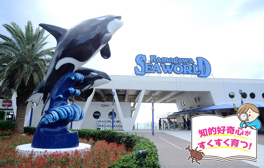 鴨川シーワールド（千葉県/鴨川市）