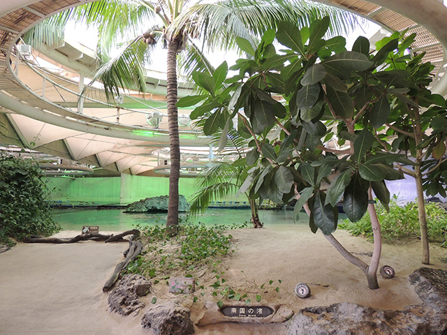 「南国の渚」/鴨川シーワールド(千葉県/鴨川市)