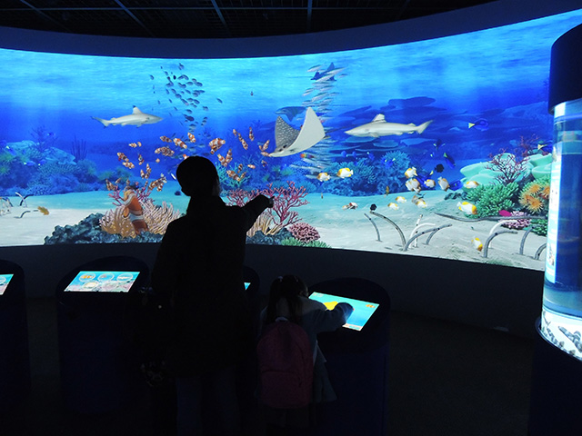 映像参加型施設「コーラルメッセージ」/鴨川シーワールド(千葉県/鴨川市)