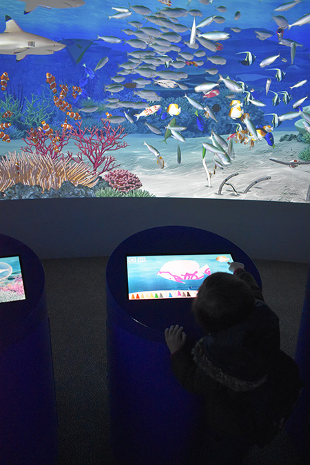 映像参加型施設「コーラルメッセージ」/鴨川シーワールド(千葉県/鴨川市)