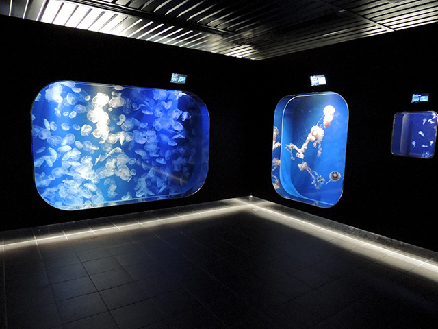 エコアクアローム/鴨川シーワールド(千葉県/鴨川市)