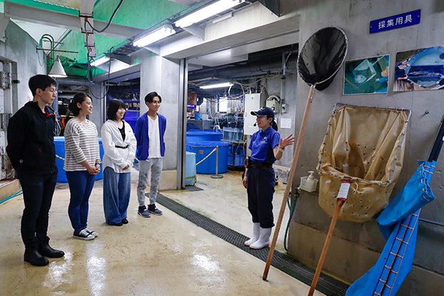 水族館まるごとウォッチング/鴨川シーワールド(千葉県/鴨川市)