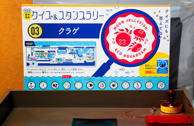 /鴨川シーワールド(千葉県/鴨川市)