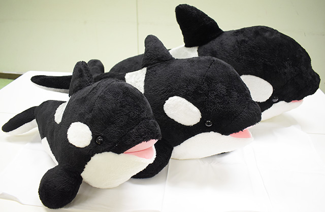 シャチくじ1000円の商品/鴨川シーワールド(千葉県/鴨川市)