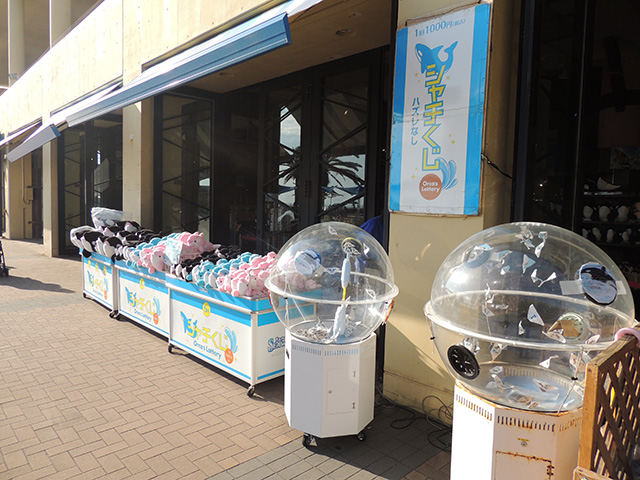 シャチくじ/鴨川シーワールド(千葉県/鴨川市)