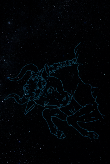 プラネタリウム/かわさき宙と緑の科学館(神奈川県/川崎市)