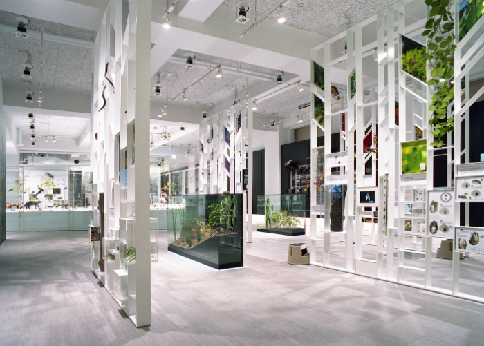 1F展示室/かわさき宙と緑の科学館(神奈川県/川崎市)