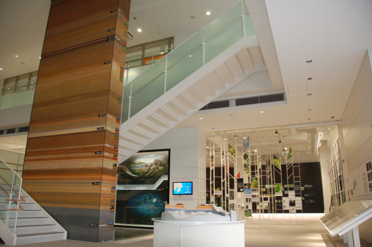 8mの地層タワー/かわさき宙と緑の科学館(神奈川県/川崎市)