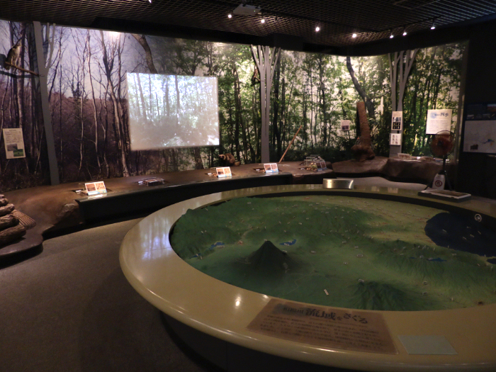 平塚市博物館（神奈川県）