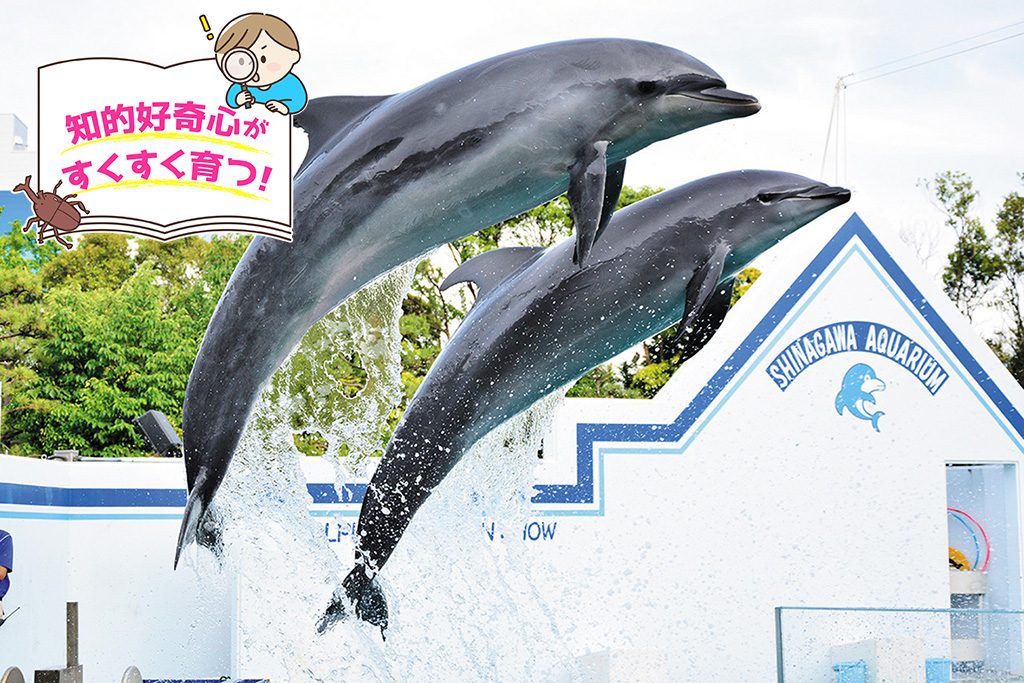 しながわ水族館（東京都/品川区）