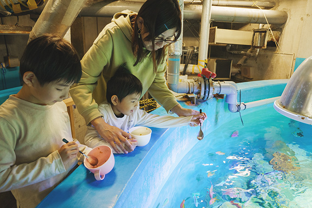 えさやり体験の様子/しながわ水族館(東京都/品川区)