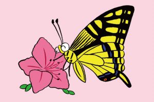 アゲハチョウの幼虫・蛹・羽化を観察！種類や時期、捕まえ方や育て方も解説