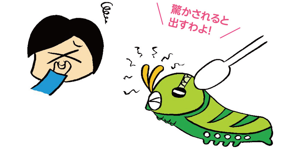 幼虫は模様だけでなく、臭いツノで外敵を威嚇