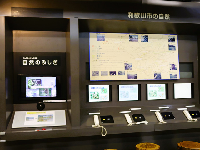 1階の奥にあるコーナー「郷土の自然」／和歌山市立こども科学館