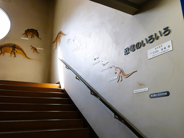 1階から2階への階段の壁にも恐竜の展示物／和歌山市立こども科学館