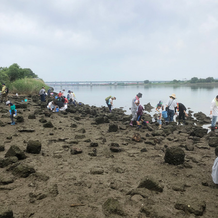 親子生き物博士教室／和歌山市立こども科学館