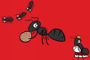 アリを観察！小学生の自由研究アイデア（学年別）や場所・種類・特徴などの解説