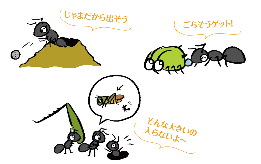 いろいろなアリの姿を観察しよう