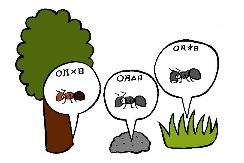 アリは狭い範囲の中でも複数の種類が住み分けている