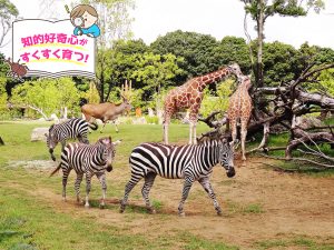 よこはま動物園ズーラシア（神奈川県）で世界旅行を疑似体験！ ワクワク感が好奇心も刺激