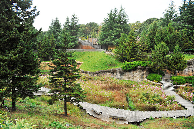 「亜寒帯の森」/よこはま動物園ズーラシア(神奈川県/横浜市)