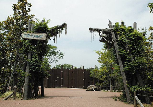 「アフリカの熱帯雨林」/よこはま動物園ズーラシア(神奈川県/横浜市)