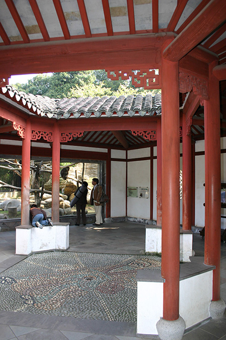 中国やモンゴルの動物たちがいるゾーン/よこはま動物園ズーラシア(神奈川県/横浜市)