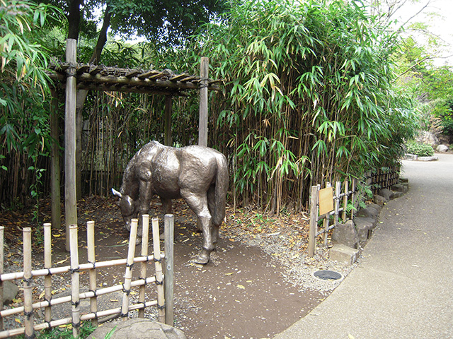 日本の山里/よこはま動物園ズーラシア(神奈川県/横浜市)